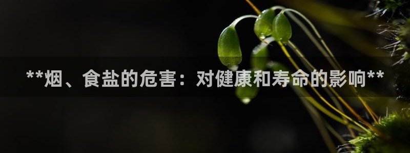 威九国际APP客服