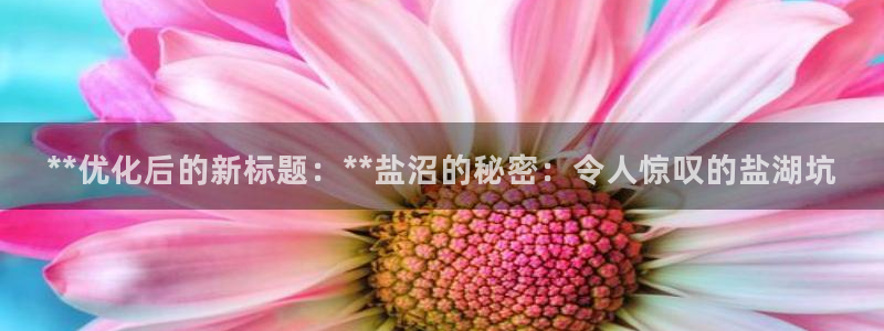 威九国际取款