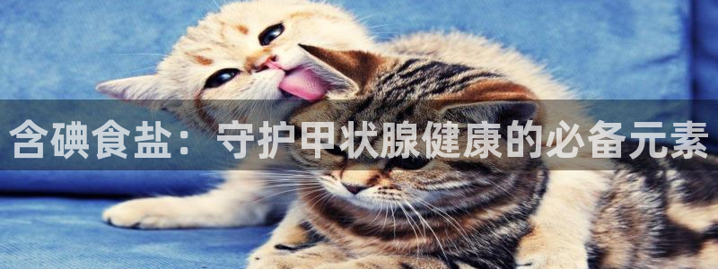威九国际的金融服务怎么样