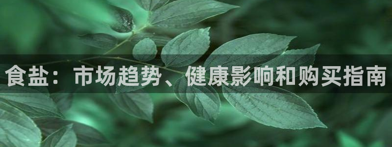 78mapp威九国际人民网
