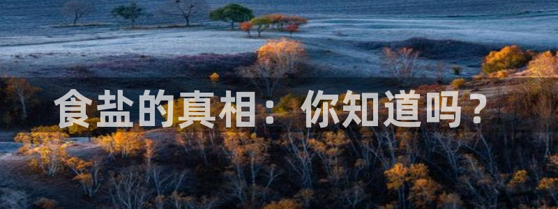 威九国际78mb