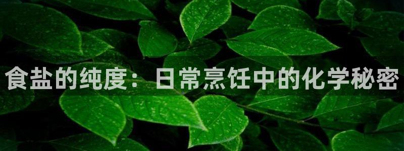 威九国际的金融服务有哪些