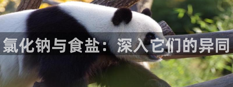威九国际网站经常打不开怎么办