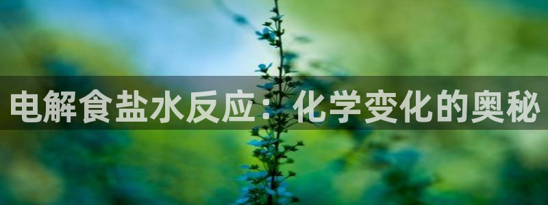 威九国际最新