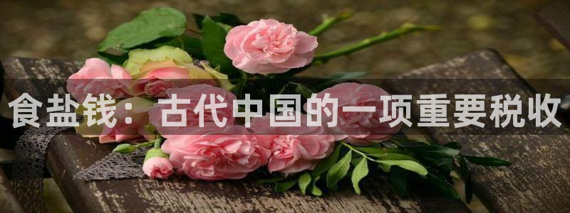 威九国际APP下载