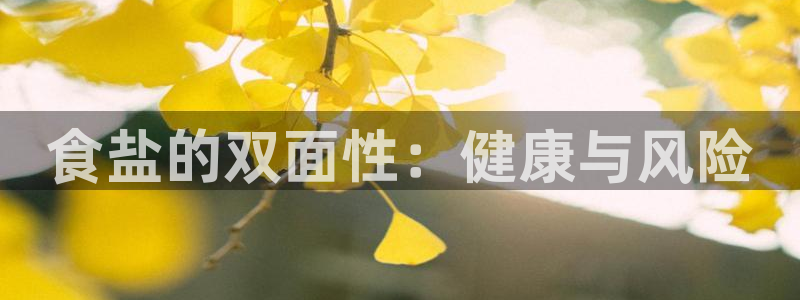 威九国际v96 bet会黑吗