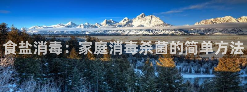 威九国际在线平台怎么样啊