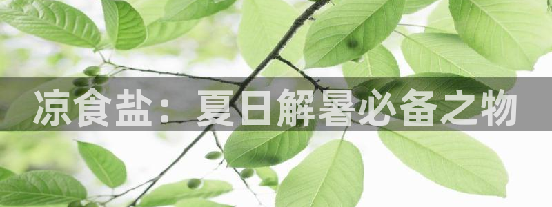 威九国际女孩