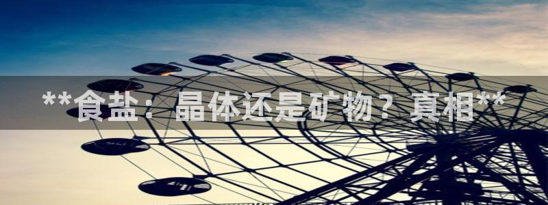 威九国际mm