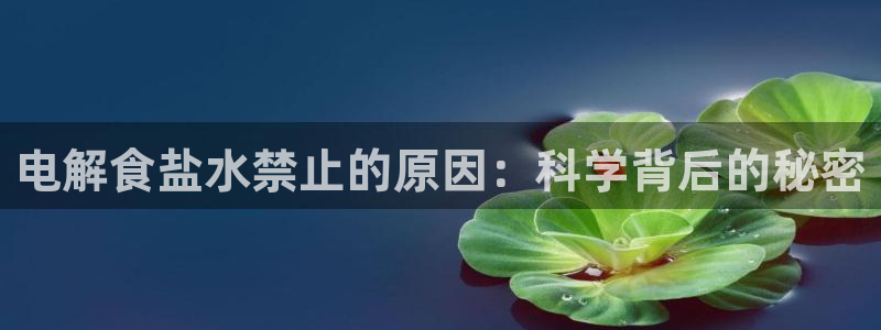 威九国际网站入口官网免费