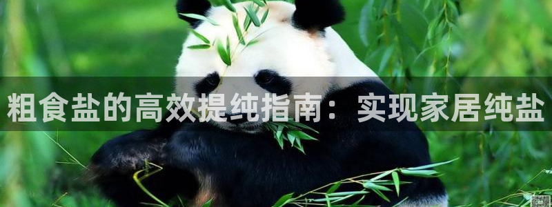 威九国际游戏