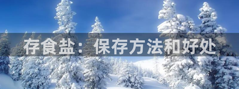 威九国际v96BET