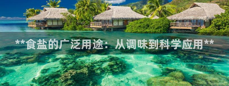威九国际A