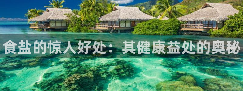 威九国际狂飚电影