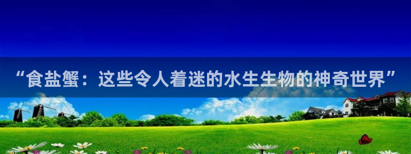 78mapp威九国际网页版