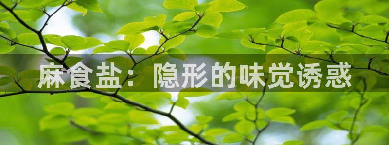 保定威九网络科技有限公司招聘