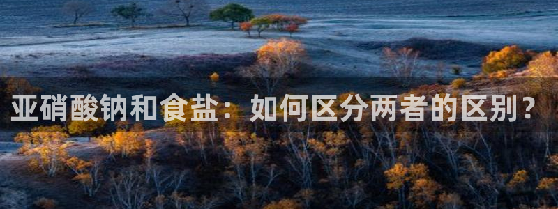 威九国际网站进入客服中心