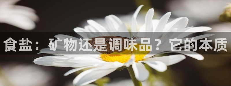 威九国际的金融服务