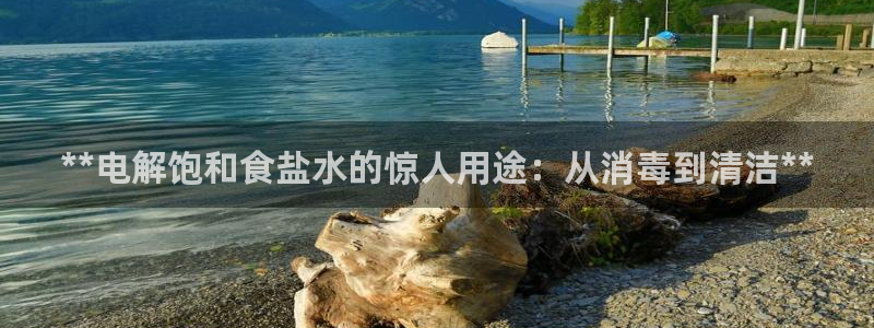 威九国际游戏