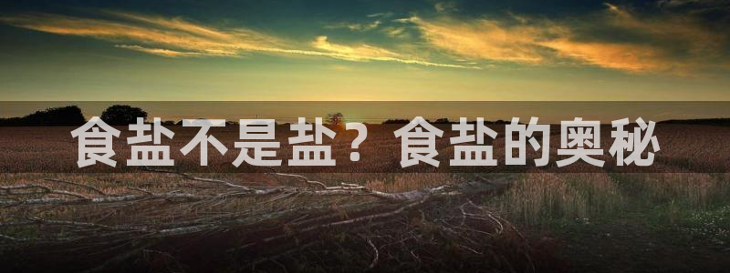 威九国际免费