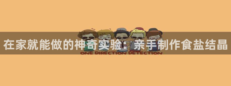 威九国际ppt官网