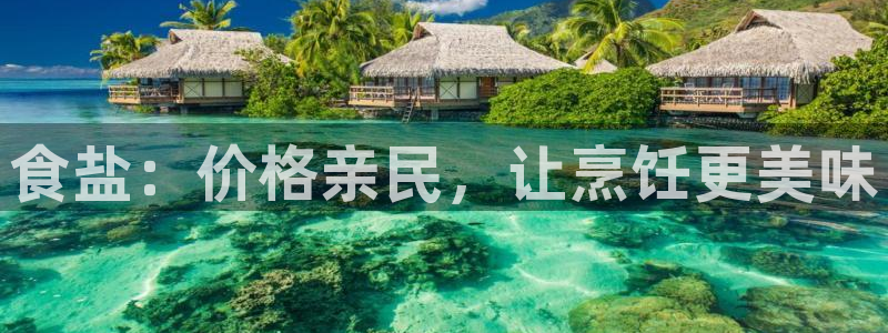 威九国际地址