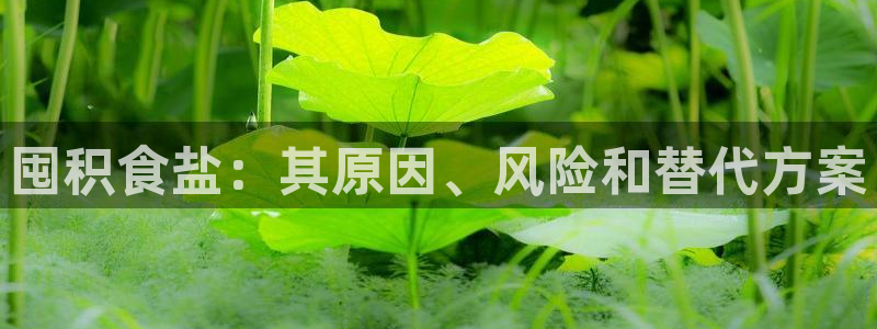 威九国际网站入口官网首页