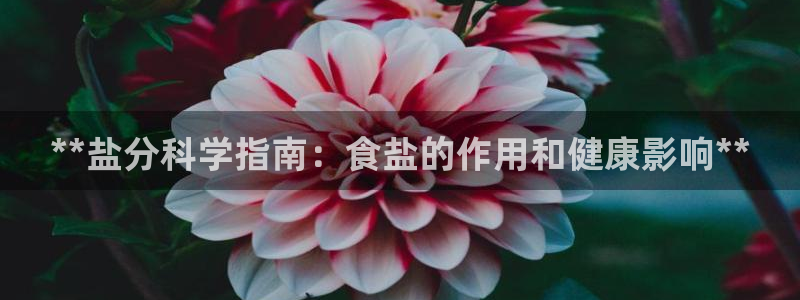 威九国际网站入口地址
