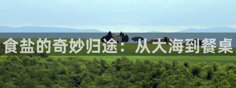 威九国际fX8x