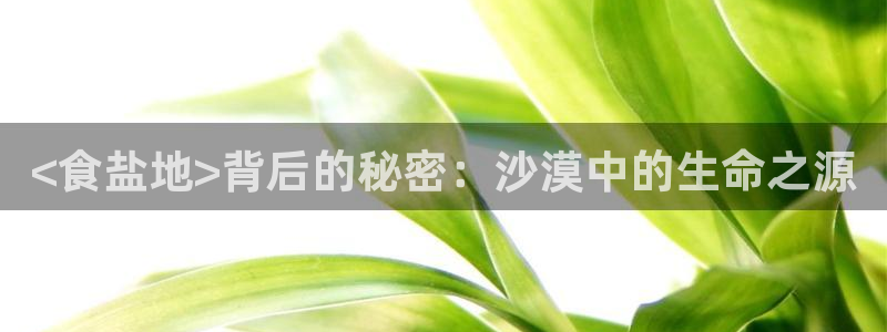 威九国际APP客服