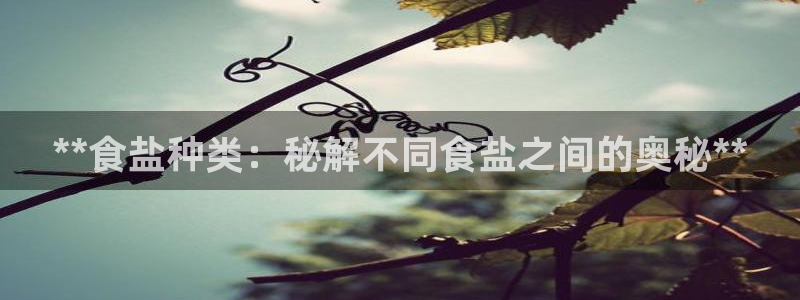 威九国际可以提现吗