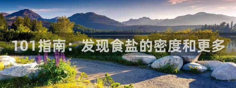 威九国际网页看视频弹窗的广告拦截插件