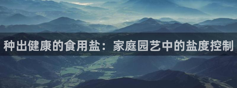 威九国际网站怎么样知乎