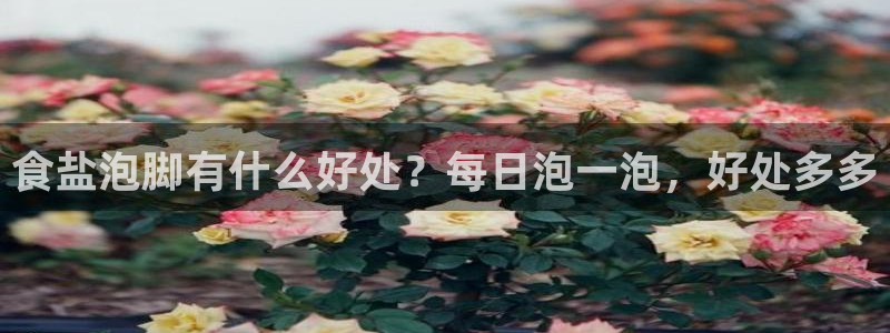 威九国际m78