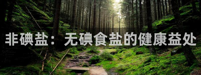 威九国际APP大全