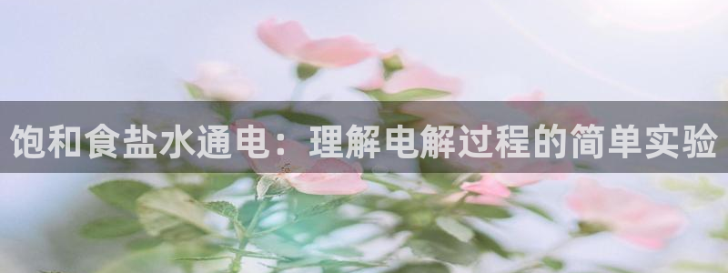 威九国际EVA