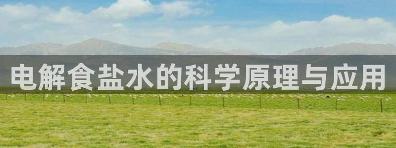 威九国际电子有限公司