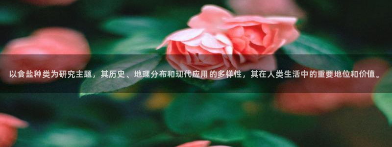 威九国际国精彩片段