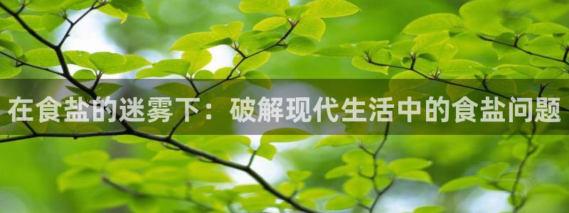66m威九国际成长模式
