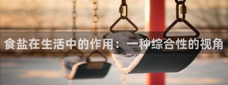 威九国际官方入口官网