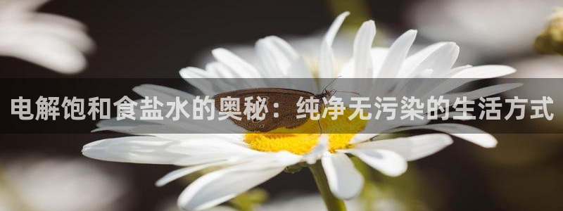 威九国际免费游戏