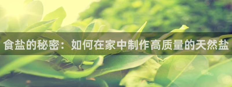 威九国际网站下载