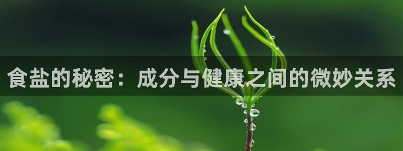威九国际78M.APP