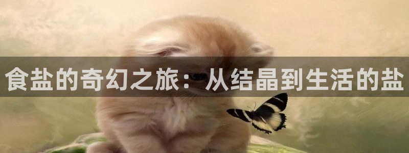 威九国际网站客服电话多少
