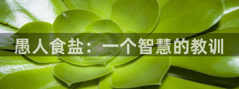 威九国际网站客服电话多少号码