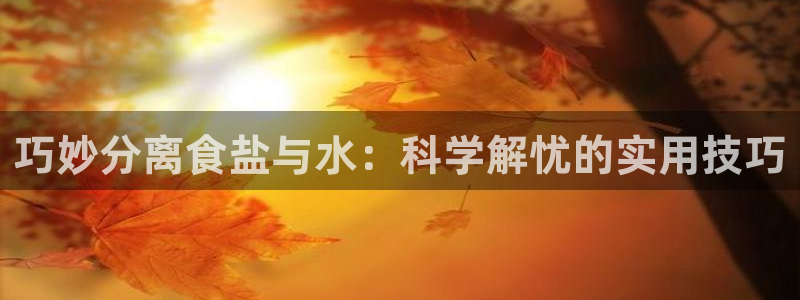 威九国际78mB官网版