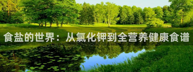 威九国际网站传媒招聘