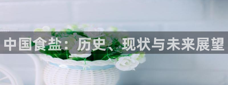 威九国际