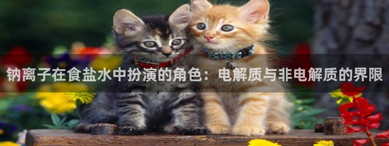 威九国际宣传片
