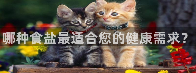 威九国际抡里